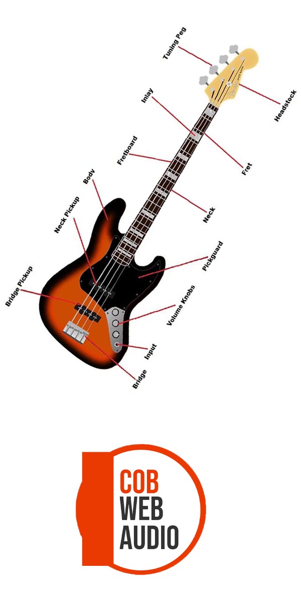 the anatomy of the bass guitar