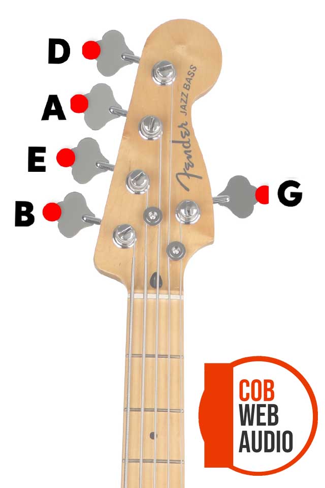 five string bass tuning 